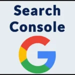 SEARCH CONSOLE